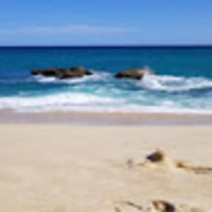 Meet your Posher, Kelli